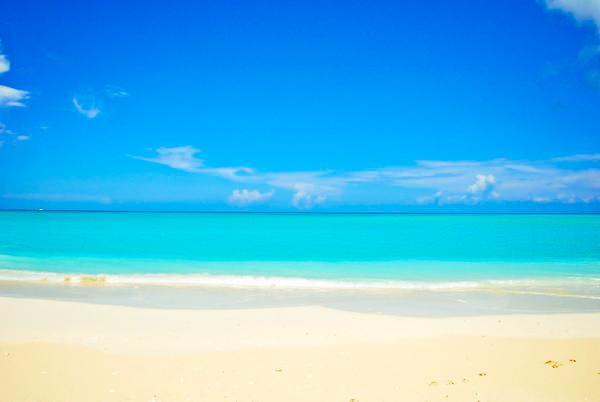Pelican Beach Hotel Whitby المظهر الخارجي الصورة