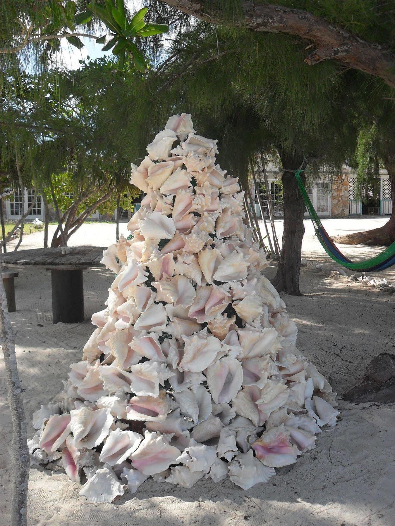 Pelican Beach Hotel Whitby المظهر الخارجي الصورة