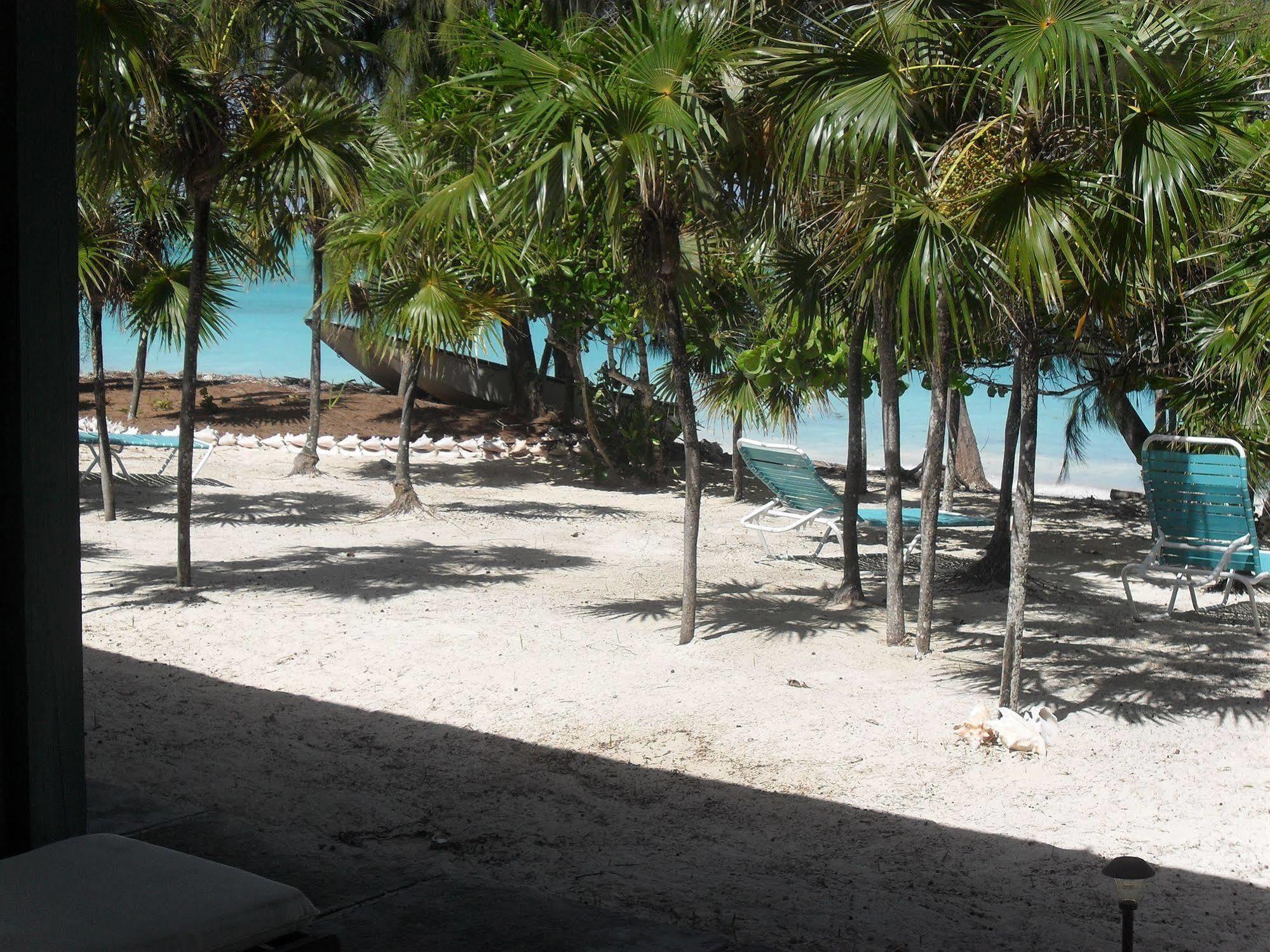 Pelican Beach Hotel Whitby المظهر الخارجي الصورة