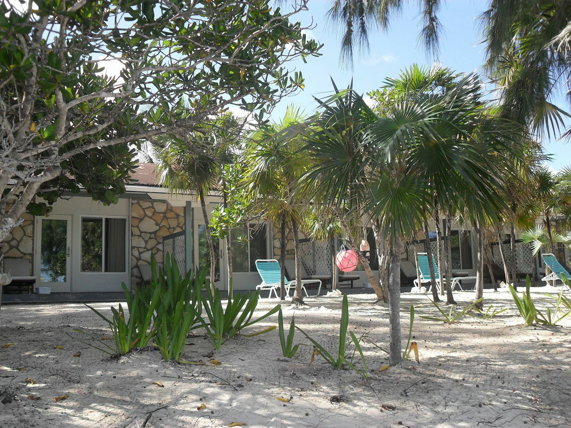 Pelican Beach Hotel Whitby المظهر الخارجي الصورة